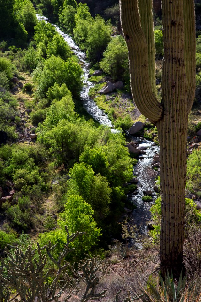 Aravaipa Canyon Wilderness Area