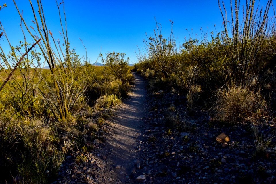 Arizona National Scenic Trail