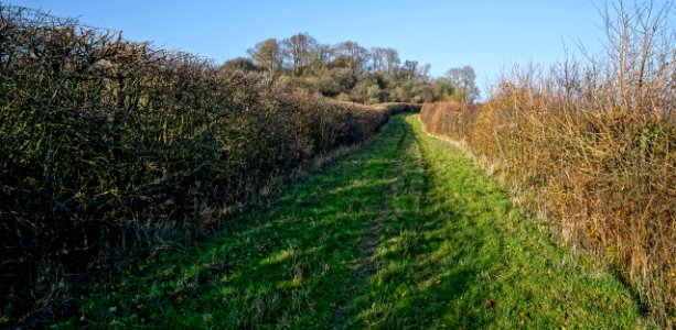 '45 Minutes' Harrowdown Hill, Longworth, Oxfordshire