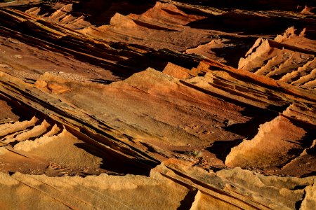 Vermilion Cliffs National Monument - Coyote Butte South - Fins in Coyote Butte South