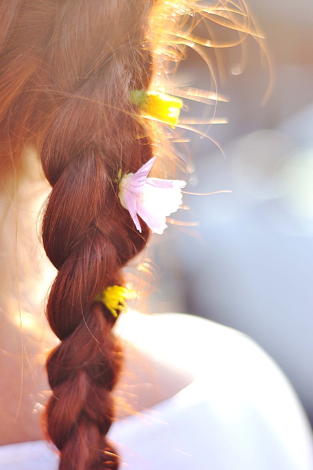 Flowers summer red