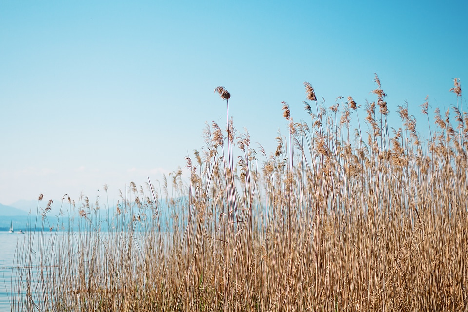 Blue sky nature