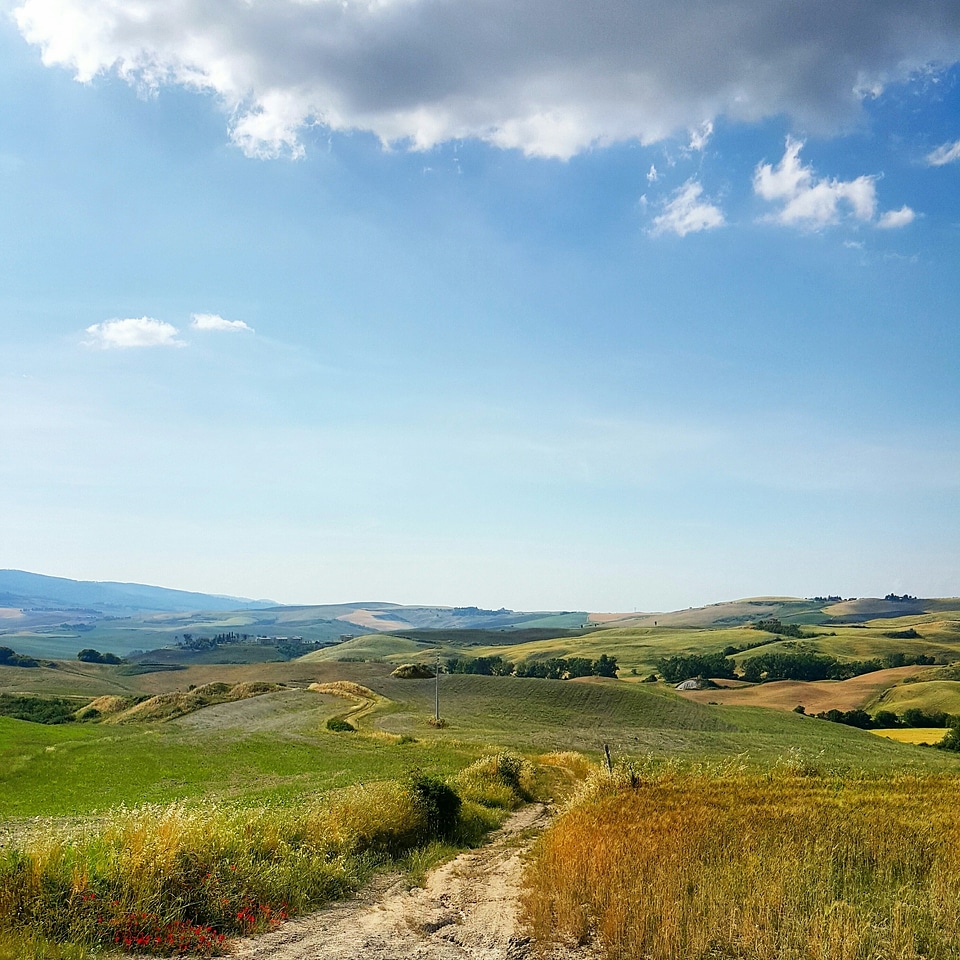 Road nature landscape