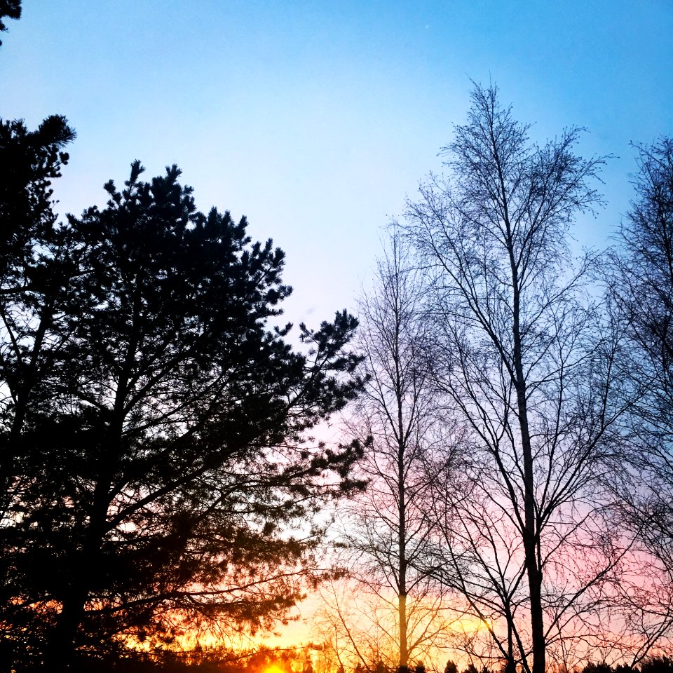 Vanilla Sky - Oulu, Finland