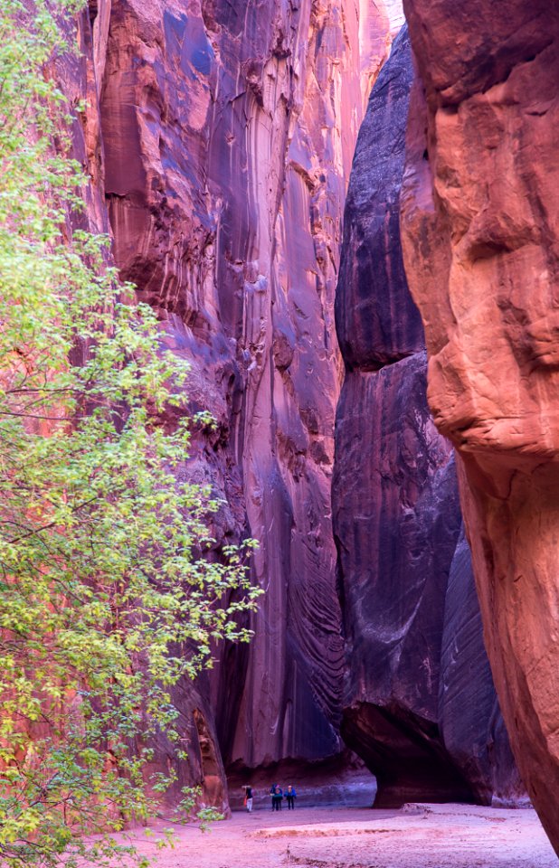 Vermilion Cliffs National Monument