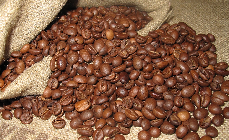 Grain arabica coffee beans