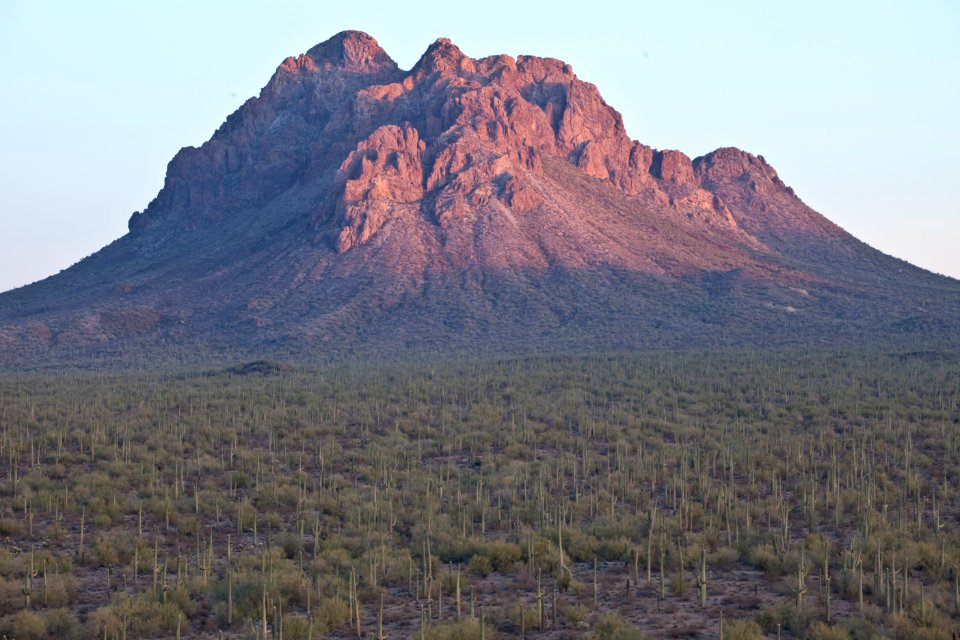 Ironwood Forest National Monument