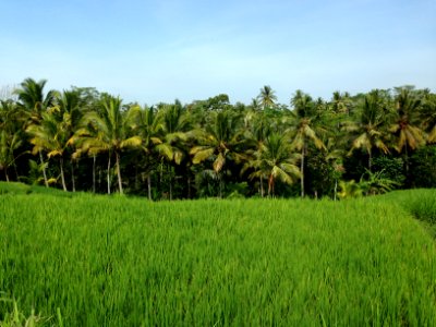 Southeast Asia