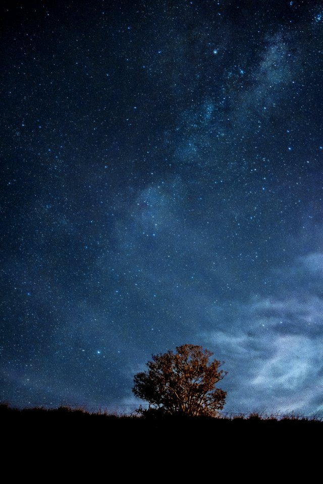 Stars