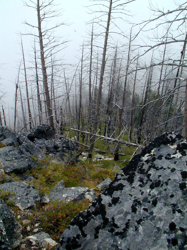 16 nonplot fog1 06062004090101