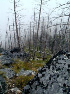 16 nonplot fog1 06062004090101
