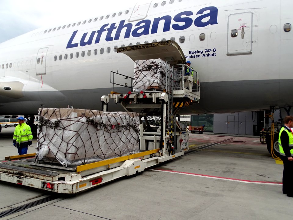 LH CARGO - ajuda refugiados