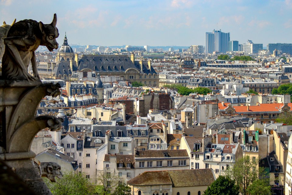 preying on Latin quartier
