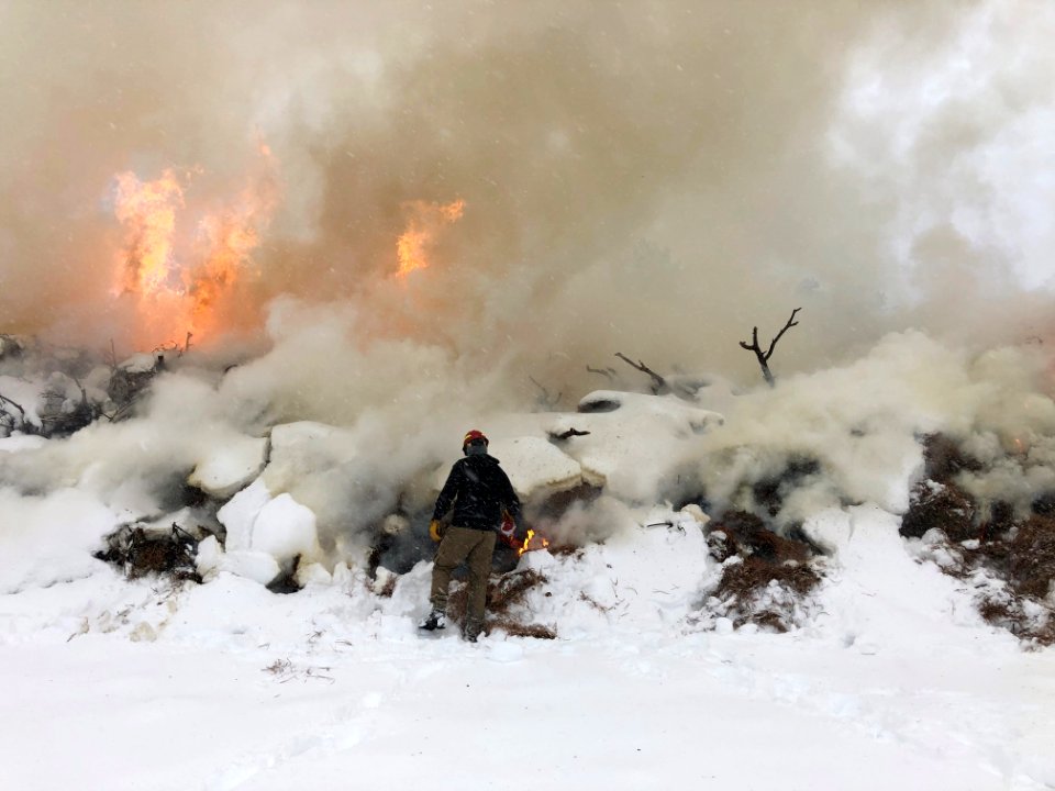 Presribed fire in Hualapai Mountains