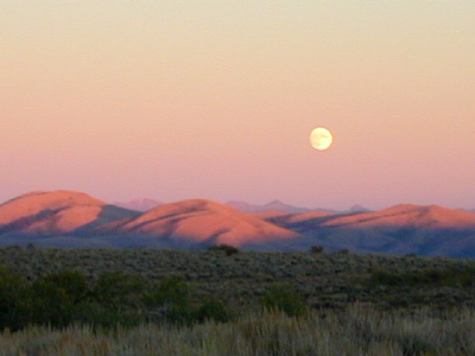32 nonplot nevada 06062002090101