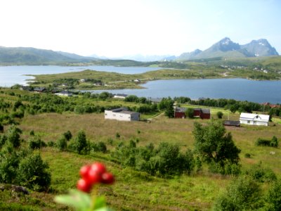 Norvegia - Isole Lofoten Luglio 2011