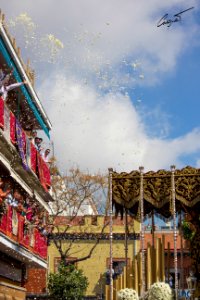 Ntra. Sra. de los Dolores Coronada. Hermandad del Cerro. Martes Santo 2016. Sevilla
