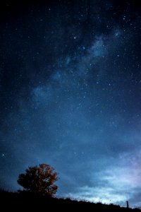 Stars