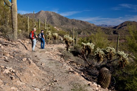 Arizona National Scenic Trail