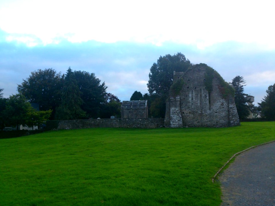 Quin Abbey, Quin, Co. Clare