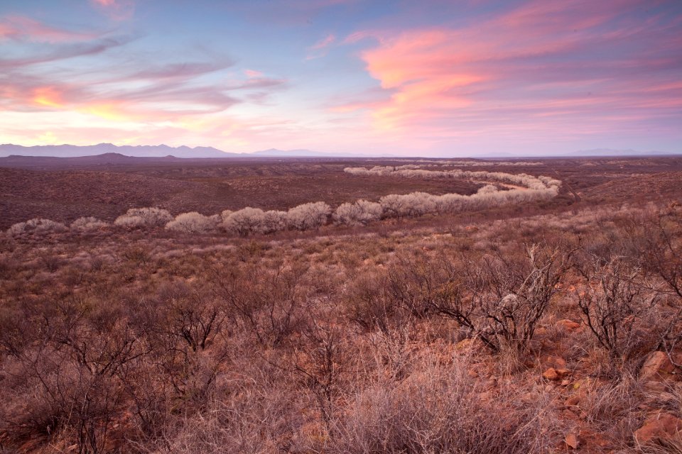 San Pedro Riparian National Conservation Area