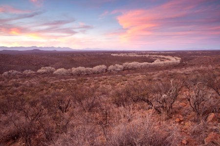 San Pedro Riparian National Conservation Area