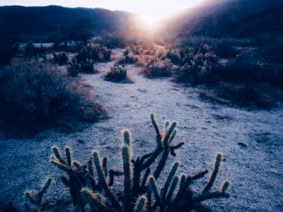 Borrego Springs, California