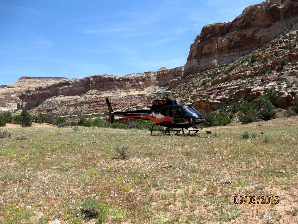49 nonplot saddle horse canyon heli 06292015112054 (1)