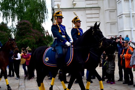 Rusia 1 (310)