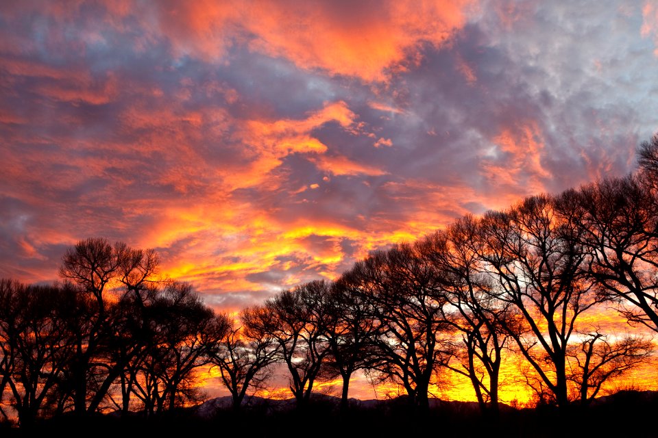 San Pedro Riparian National Conservation Area