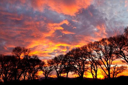 San Pedro Riparian National Conservation Area