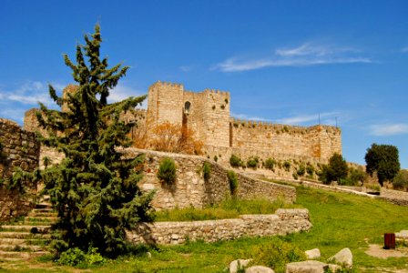 Extremadura II 460