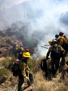 Fighting the Sombrero Fire