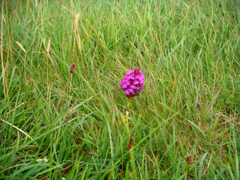 Rosses Point, Co. Sligo