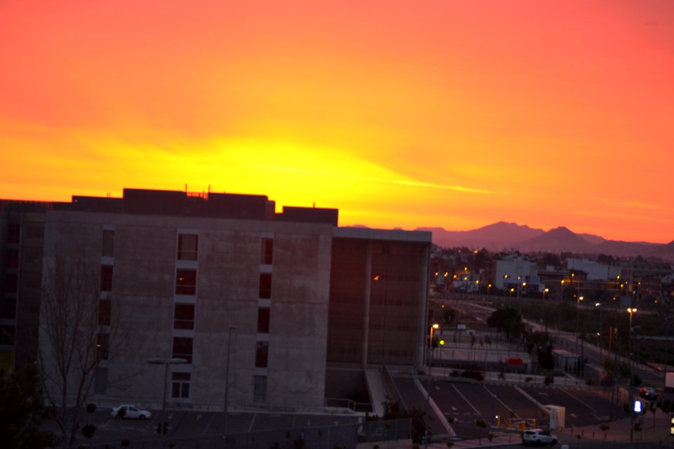 DSC 1159