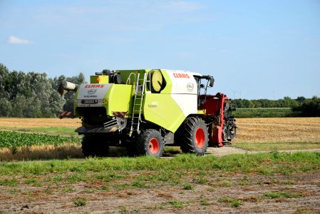 2016 Marchfeld 06
