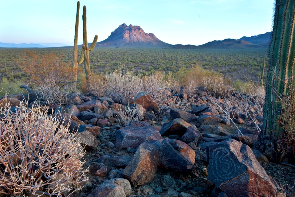 Ironwood Forest National Monument