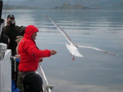 Norvegia - Isole Lofoten Luglio 2011