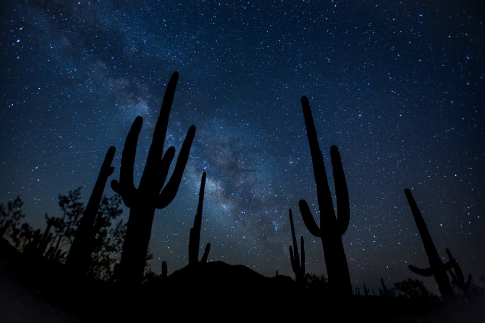 Sonoran Desert National Monument