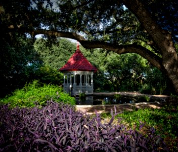 Zilker Botanical Garden, Austin photo