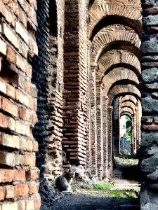 Il gatto dentro la mura di Roma