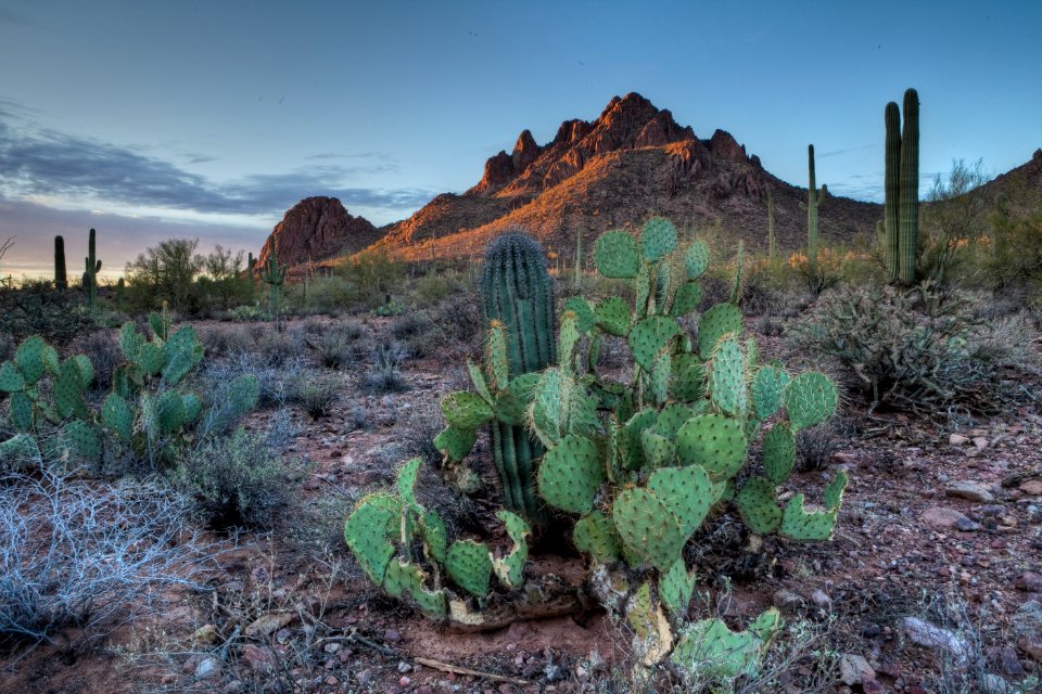 Ironwood Forest National Monument