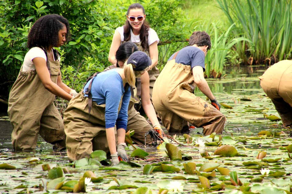Kenilworth Aquatic Gardens