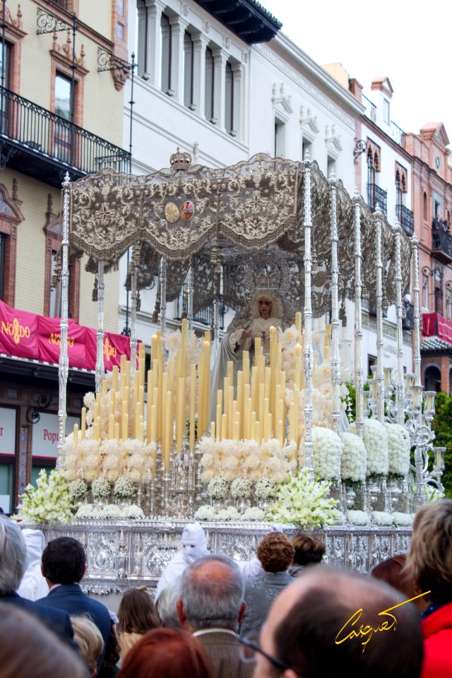 María Stma. de la Paz. Hermandad de la Paz. Domingo de Ramos 2016. Sevilla