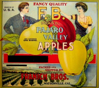 1910s F.B. Brand Pajaro Valley Apples