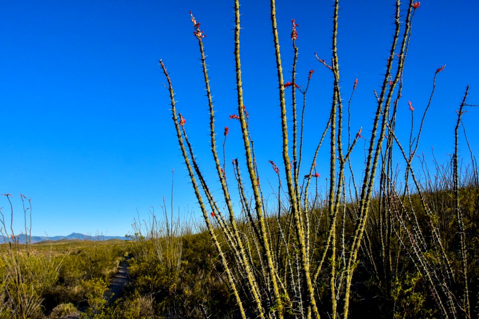 Arizona National Scenic Trail