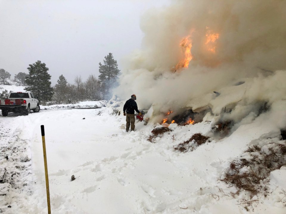 Presribed fire in Hualapai Mountains