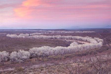 San Pedro Riparian National Conservation Area