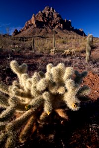 Ironwood Forest National Monument
