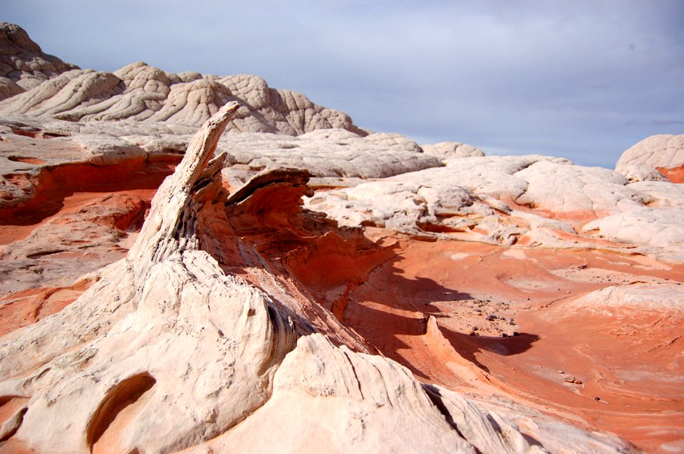 Vermilion Cliffs National Monument - Paria Canyon - White Pocket Fin
